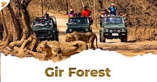 Gir National Park, Sasan Gir